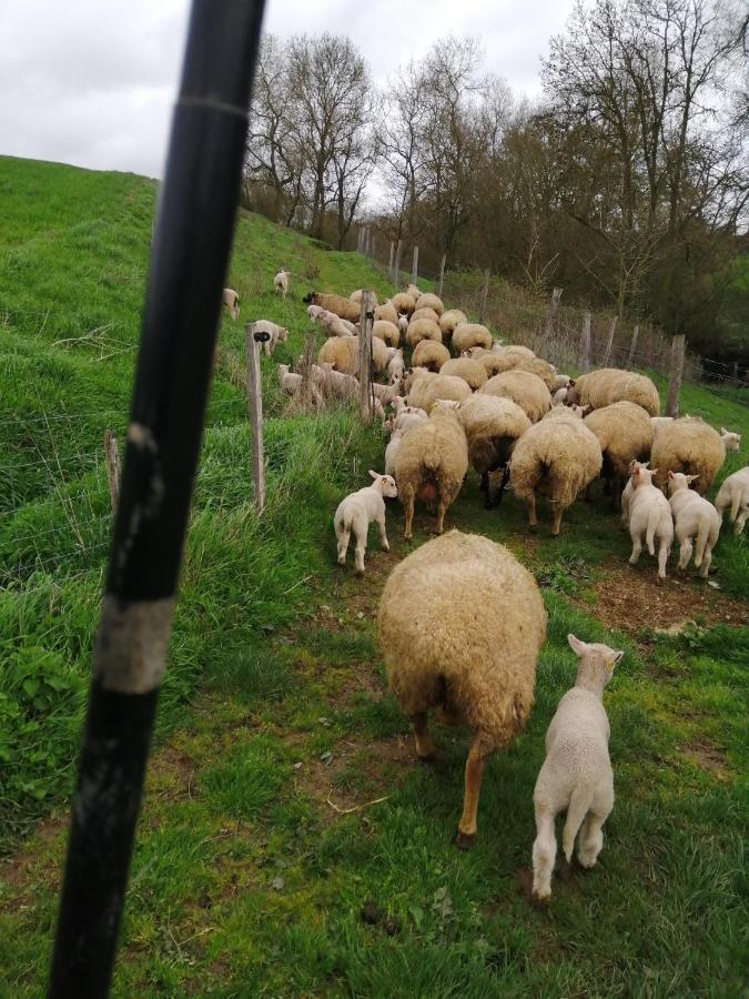 La Gaucherie Aux Dames Vihiers ภายนอก รูปภาพ